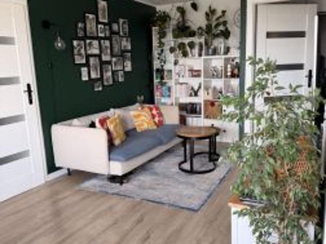 Bezpośrednio, Warszawa, Mokotów, ul. Stefana Batorego, 53 m² Mieszkanie
