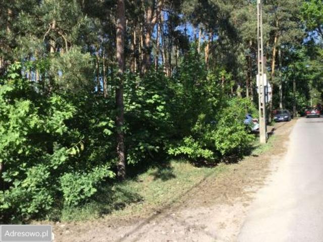 Bezpośrednio, Warszawa, Międzylesie, ul. Cylichowska, 2000 m² Działka