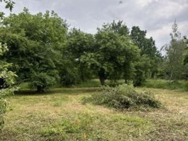 Bezpośrednio, Warszawa, Ursus, ul. Kazimierza Odnowiciela, 600 m² Działka