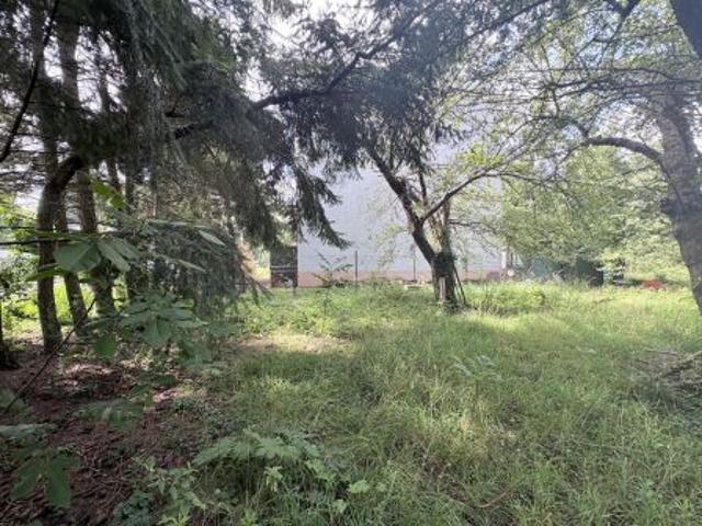 Bezpośrednio, Warszawa, Ursus, ul. II Armii Wojska Polskiego, 545 m² Działka