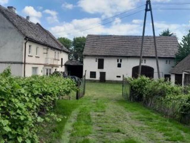 Bezpośrednio, Warta Bolesławiecka, 140 m² Dom