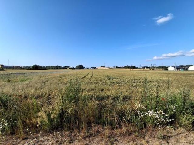 Bezpośrednio, Waszulki, 2521 m² Działka