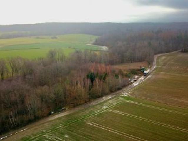 Bezpośrednio, Werblinia, ul. Leśna, 2981 m² Działka