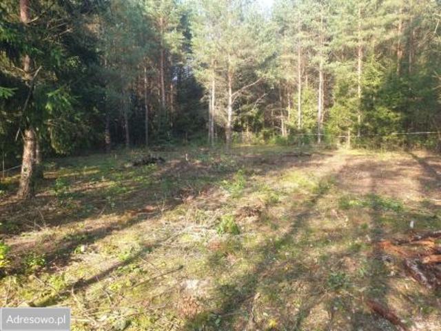 Bezpośrednio, Wesołowo, 824 m² Działka