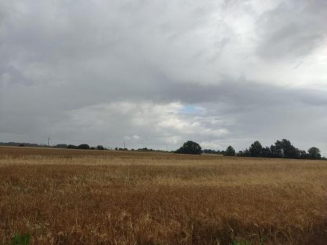 Bezpośrednio, Witków, 40900 m² Działka
