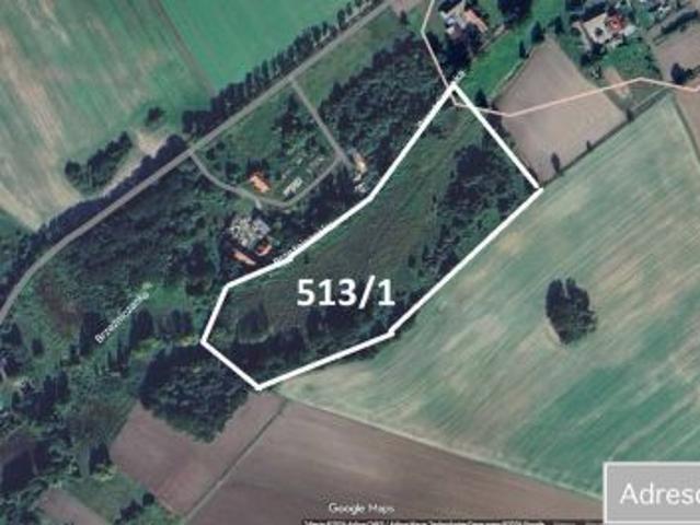 Bezpośrednio, Witków, 51600 m² Działka
