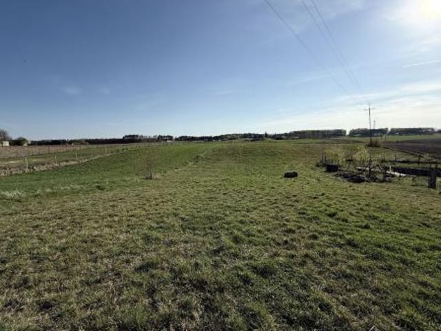Bezpośrednio, Witowąż, 5538 m² Działka
