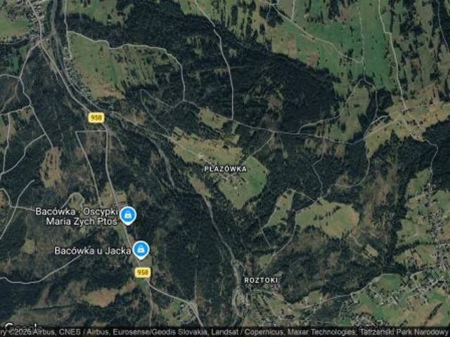 Bezpośrednio, Witów, Płazówka, 1720 m² Działka