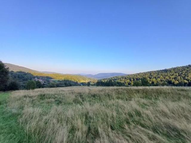 Bezpośrednio, Więciórka, 2400 m² Działka