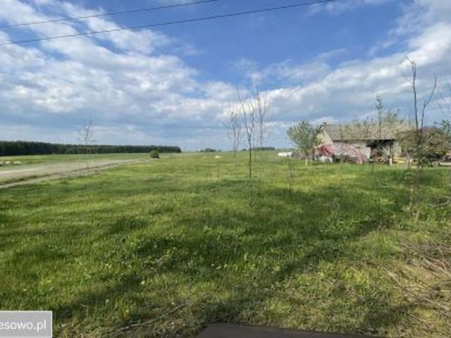 Bezpośrednio, Wiśnicz, 5800 m² Działka