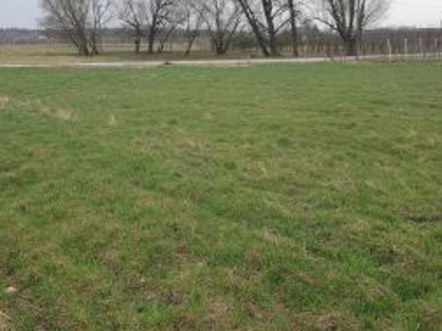 Bezpośrednio, Wiatrowiec, 21800 m² Działka