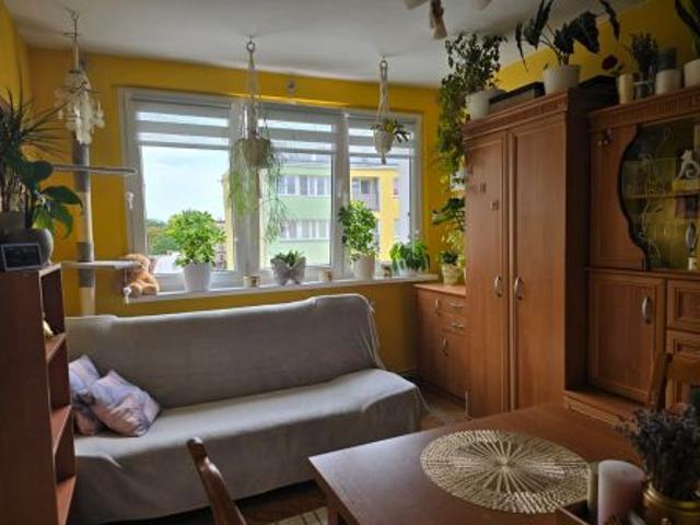 Bezpośrednio, Świdnica, ul. Saperów, 27 m² Mieszkanie