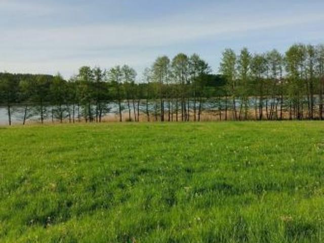 Bezpośrednio, Widryny, 3000 m² Działka