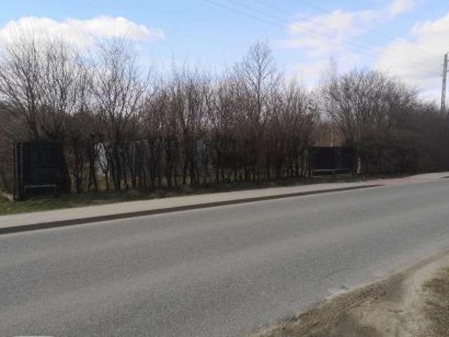 Bezpośrednio, Świecie, ul. Jesionowa, 1100 m² Działka