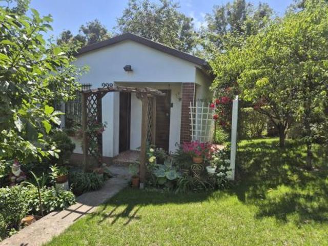 Bezpośrednio, Świecie, 300 m² Działka