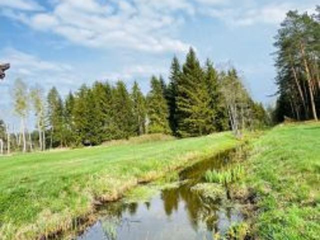 Bezpośrednio, Wielbark, 71900 m² Działka