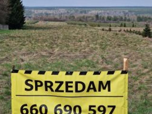 Bezpośrednio, Wielka Wieś, Podmiasto, 17000 m² Działka