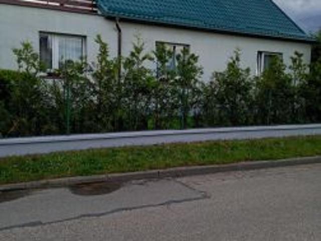 Bezpośrednio, Wielki Klincz, ul. Gościeradzka, 124 m² Dom