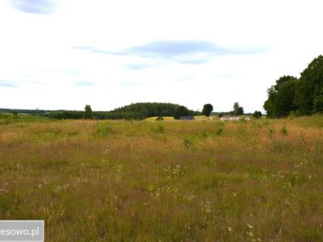 Bezpośrednio, Wielki Podleś, 1300 m² Działka