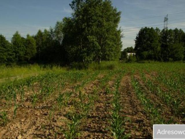 Bezpośrednio, Wielkie Drogi, 12285 m² Działka