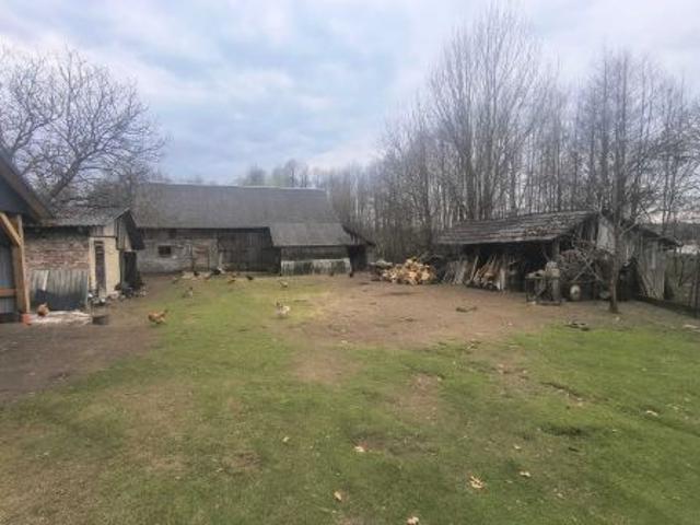 Bezpośrednio, Wielkie Oczy, ul. Leśna, 65 m² Dom