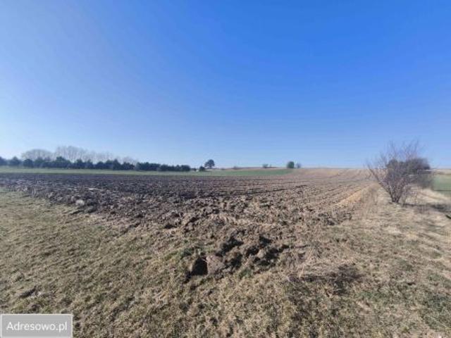Bezpośrednio, Świerczyna, 32000 m² Działka