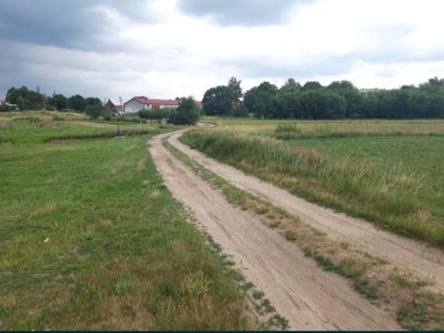 Bezpośrednio, Świerczyna, 4300 m² Działka