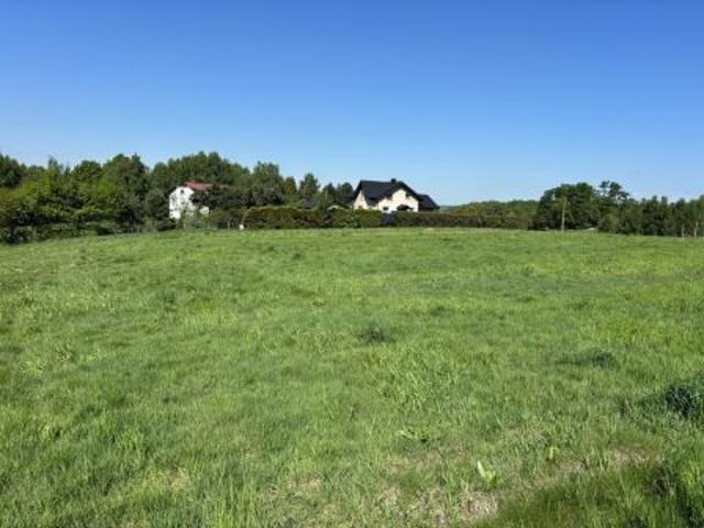 Bezpośrednio, Świerklany, ul. Połomska, 900 m² Działka
