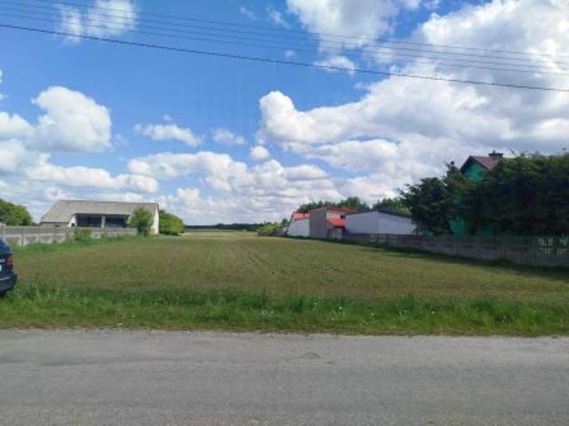Bezpośrednio, Wierzbica, 10000 m² Działka