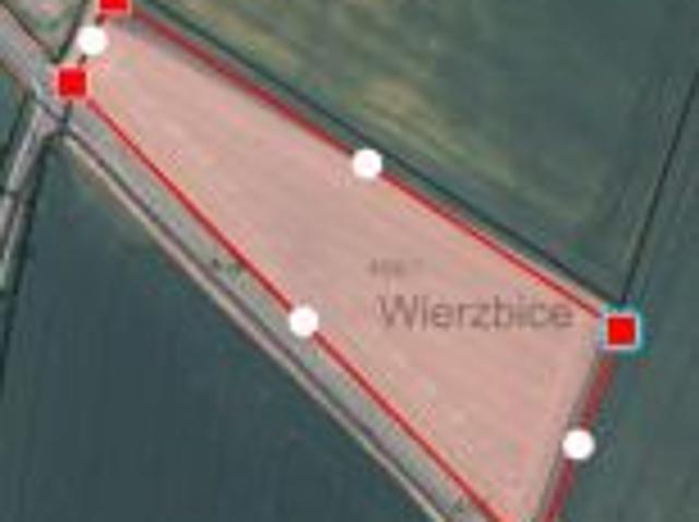 Bezpośrednio, Wierzbice, 14000 m² Działka
