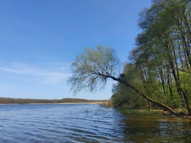 Bezpośrednio, Wierzchowo, 350 m² Działka