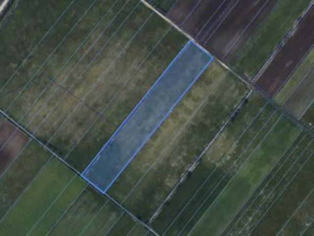 Bezpośrednio, Wierzchlas, ul. Łąkowa, 8461 m² Działka