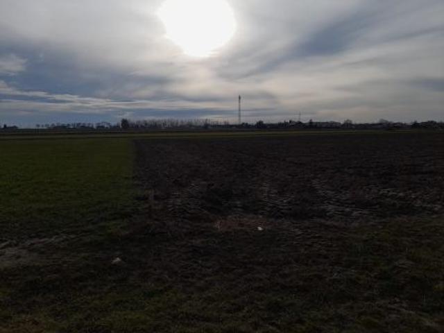 Bezpośrednio, Wierzchlas, ul. Polna, 1500 m² Działka