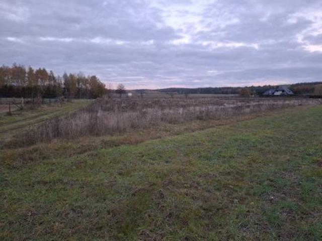 Bezpośrednio, Wierzchlesie, 2200 m² Działka