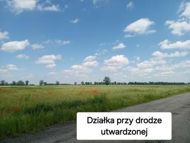 Bezpośrednio, Świerzna, 1000 m² Działka