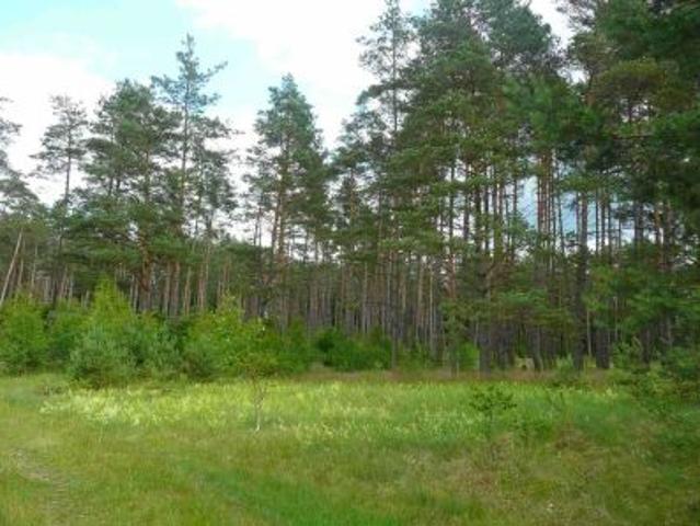 Bezpośrednio, Wiewiórowo, 1400 m² Działka