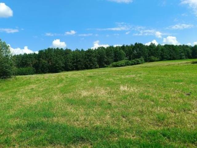 Bezpośrednio, Wilczyny, 3800 m² Działka