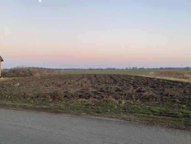 Bezpośrednio, Wilczków, ul. Adama Mickiewicza, 2001 m² Działka