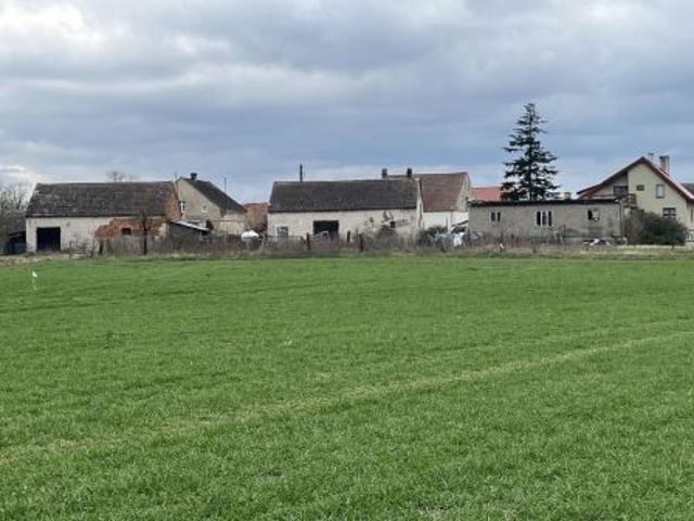 Bezpośrednio, Wilków, ul. Żyznowska, 990 m² Działka