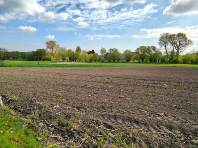 Bezpośrednio, Wilków, 1000 m² Działka