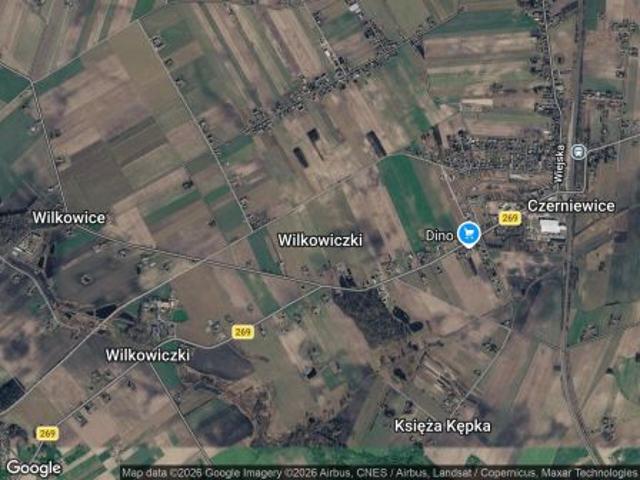 Bezpośrednio, Wilkowiczki, 2900 m² Działka