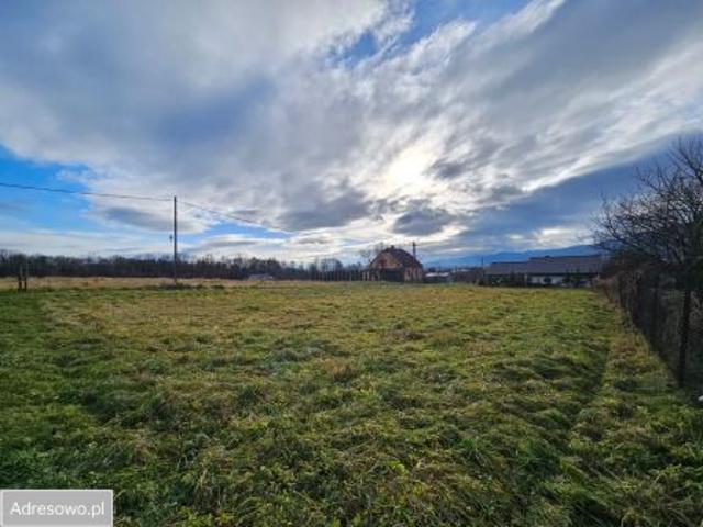 Bezpośrednio, Wilkowice, ul. Pszenna, 1117 m² Działka