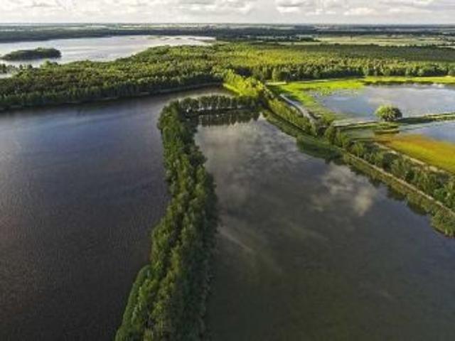 Bezpośrednio, Wilkowo, 2500 m² Działka