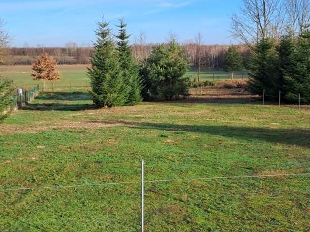 Bezpośrednio, Wilkołaz Górny, 2206 m² Działka