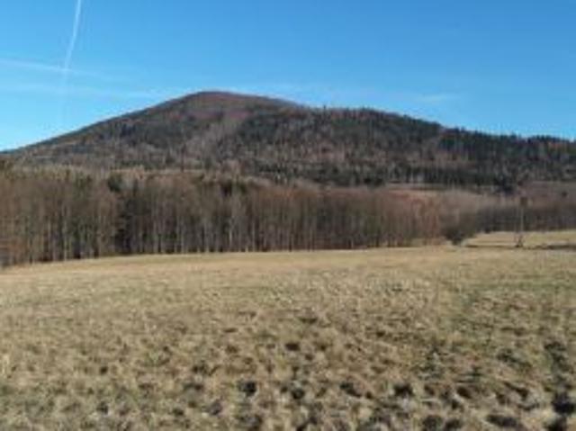 Bezpośrednio, Wilkanów, 16800 m² Działka