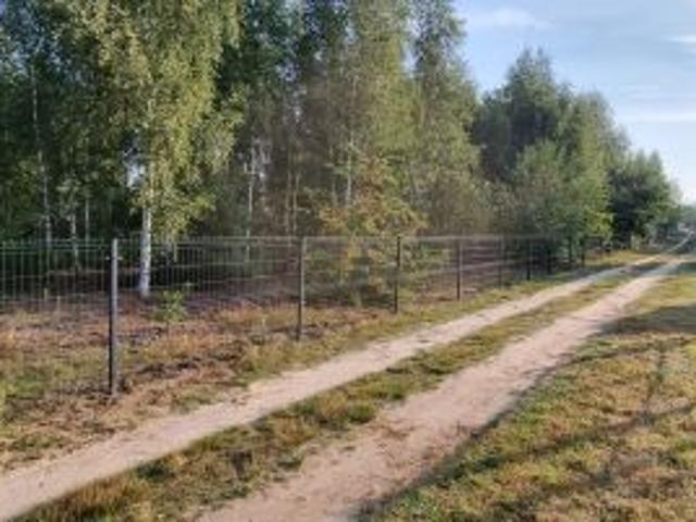 Bezpośrednio, Wincentowo, 1000 m² Działka