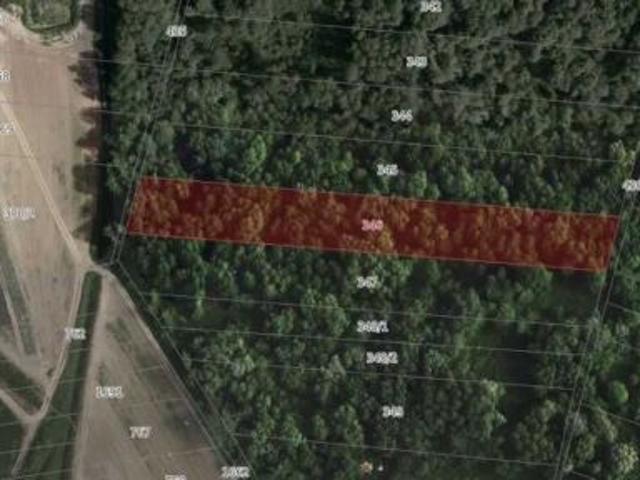 Bezpośrednio, Winiary, 5100 m² Działka