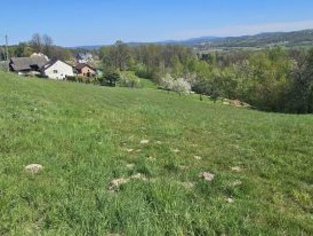 Bezpośrednio, Winiary, 3000 m² Działka
