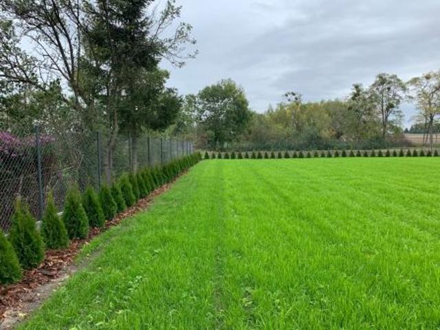Bezpośrednio, Winna, 1050 m² Działka