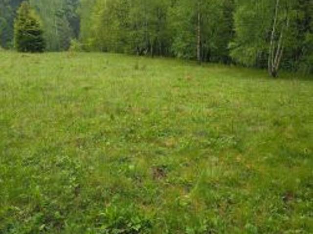 Bezpośrednio, Wisła, 1689 m² Działka